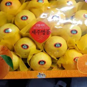 제주 황금향 선물세트 대과 / 2.5kg (8-13과)