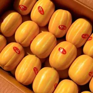 [성주농가] 마트납품용 고당도 성주 꿀참외 3kg A급 가정용