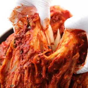 국내산 배추 아삭 태백 포기 김치 10kg