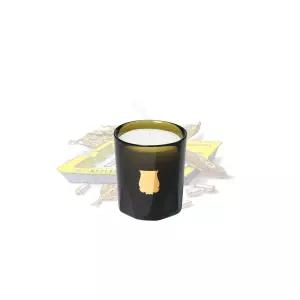 쁘띠 캔들 에르네스토 70g