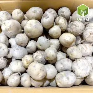 국내산 햇 못난이 감자 10kg