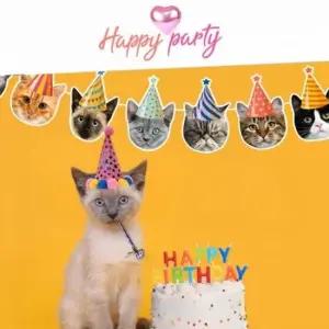 오너클랜 반려동물 용품 기념 생일 반려묘 고양이 펫 파티 고양이가랜드 반려동물가랜드