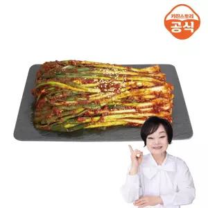 이혜정의 맛있는 파김치 5kg 갓담근 김치