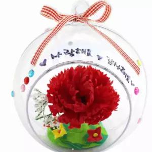 어버이날 카네이션 입체 선물 투명 볼 세트 플라워볼장식 수공예카네이션