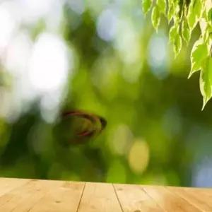 더뉴모하비 컵홀더 플레이트 옵션 3