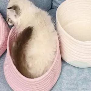 고양이 숨숨집 고양이은신처 고양이집