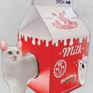 조립식 고양이 스크래쳐 우유상자 캣하우스