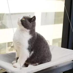 고양이 창문 해먹 사각 침대 유리창 캣타워 흡착식