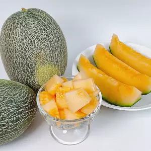 경북 고령 고당도 가정용 하미과 메론 4kg 내외