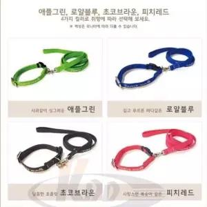 강아지목줄 애견 솔리드 목줄세트 10mm 외출 산책 고양이방울목줄 자동줄 (W9D2B1C)