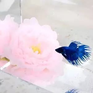 [골드스마일]베타 은신처 꽃 침대 연핑크