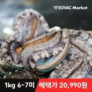 [바다마을] 완도 산지직송 활 전복 1kg 6~7미 프리미엄 특대 산소포장