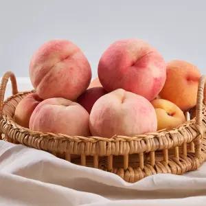 전남 고흥 해풍맞은 복숭아 (황도/백도 랜덤) 1.25kg 7~8과