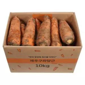 제주 흙 당근(왕특대) 10kg(10~29개 내외)