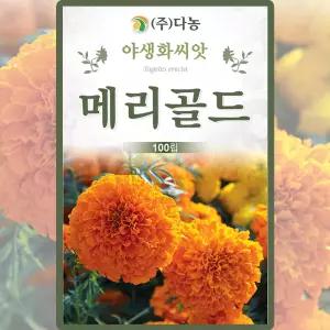 다농 메리골드 씨앗 100립 아프리칸메리골드 꽃씨 야생화 종자