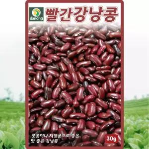 다농 빨간강낭콩 씨앗 30g 비넝쿨 강낭콩씨 풋콩 종자