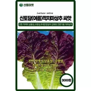 산들마켓 신토담여름적치마 상추 씨앗 3000립 전한 적색의 상품성 추대안정성이 강화된 전문가용 고급 종자