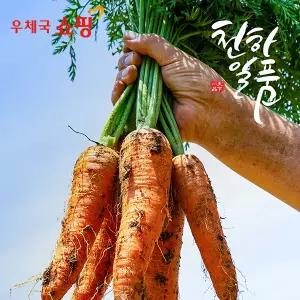[2026년 산.지.직.송 마지막 물량!]천하일품 제주 아삭 달콤 구좌 흙당근