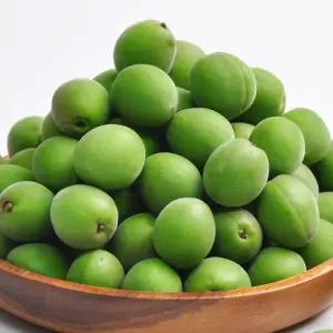 하동직송! GAP인증 하동 청매실 10kg(특 3.2cm~3.5cm)