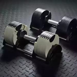 이고진 무게 조절 덤벨 아령 아이언코어 24kg
