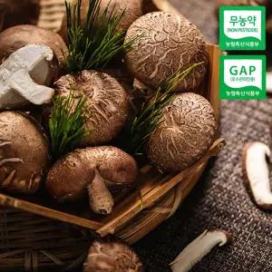국내산 무농약 표고버섯 국내산 친환경 GAP 상품 가정용 1kg