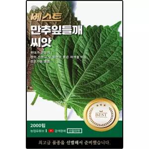 베스트 만추잎 들깨 씨앗 2000립 향이 진하고 자색을 띠는 잎들깨씨 종자