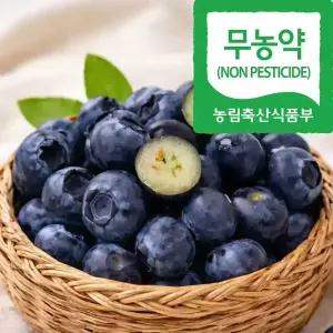 톡 터지는 달콤함 국산 무농약 블루베리 생과 100g (상) 4팩