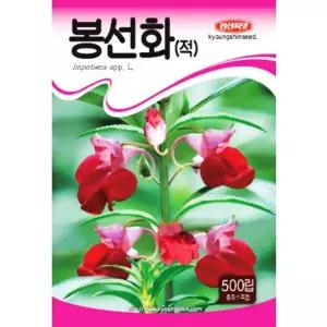 장미봉선화 씨앗 봉숭아 씨 꽃씨앗
