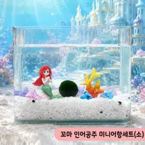 올블루 미니어항세트 소 꼬마 인어공주 유리어항 수족관세트