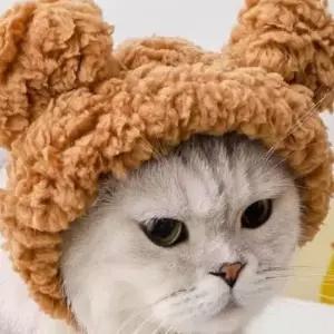 고양이 패션 털 모자 반려 강아지 겨울 보온