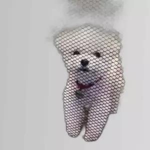 강아지 투명 그물 울타리 소형 울타리 아기안전문