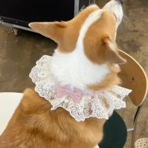 고양이 강아지 레이스 스카프 케이프 핑크 M