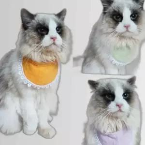 애견 애묘 턱받이 케이프 고양이 의류 강아지