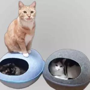 편안한 고양이 놀이공간 집안 힐링 에그하우스
