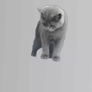 도넛 블루 터널 고양이 60cm 고양이 집