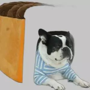 강아지 극세사 식빵 하우스 대형 커버분리 숨숨집 1P