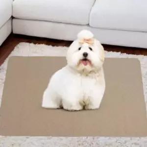 강아지배변판 펫도그빨아쓰는재사용배변패드 150x90cm 브라운