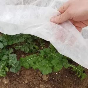 농업용 부직포 50g 보온 서리방지 못자리용 농사용