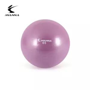 안티버스트 짐볼 65cm 라일락