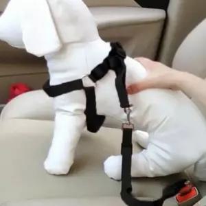 반려견 안전띠 목끈 하네스 차량용 버클 애견 동물 안전벨트