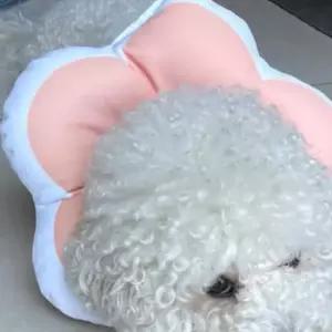 꽃피는 강아지 강아지목 고양이 쿠션 넥카라 핑크 L