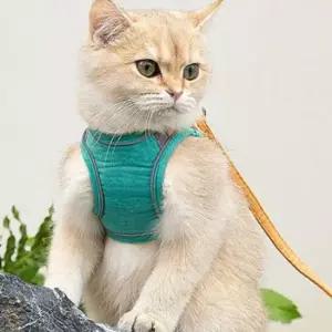 반려동물 빛반사 하네스 리드줄 M 고양이 애완산책줄