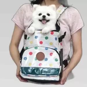 강아지 앞가방 고양이 슬링백 백팩 산책 외출 미디움