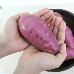 세척 꿀 밤고구마  특)3kg 5kg