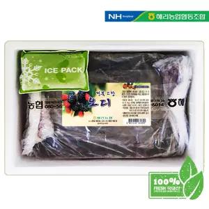 26년 농협 고창 햇 뽕 오디 특품 10kg (과상2호) 급냉생과