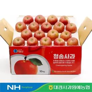 [대경사과원예농협]청송  가정용사과 10kg 38과내 부사 중과