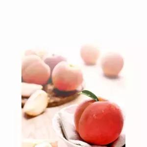 달콤 달콤해 천도복숭아 3kg (천도,신비,신선,육월도.!품종랜덤발송!)실중량2.5KG이상
