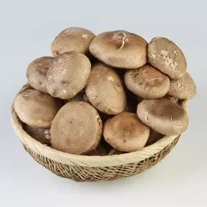 충남 서천 GAP인증! 표고버섯 실속형 1kg /생표고