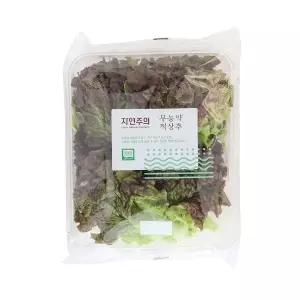 [자연주의] 친환경 적상추 150g