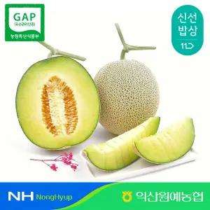 익산 고당도 비파괴 당도선별 머스크 멜론 특 2수 (총4kg, 알당2kg이상)